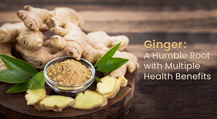 Ginger A Humble Root With Multiple Health Benefits 