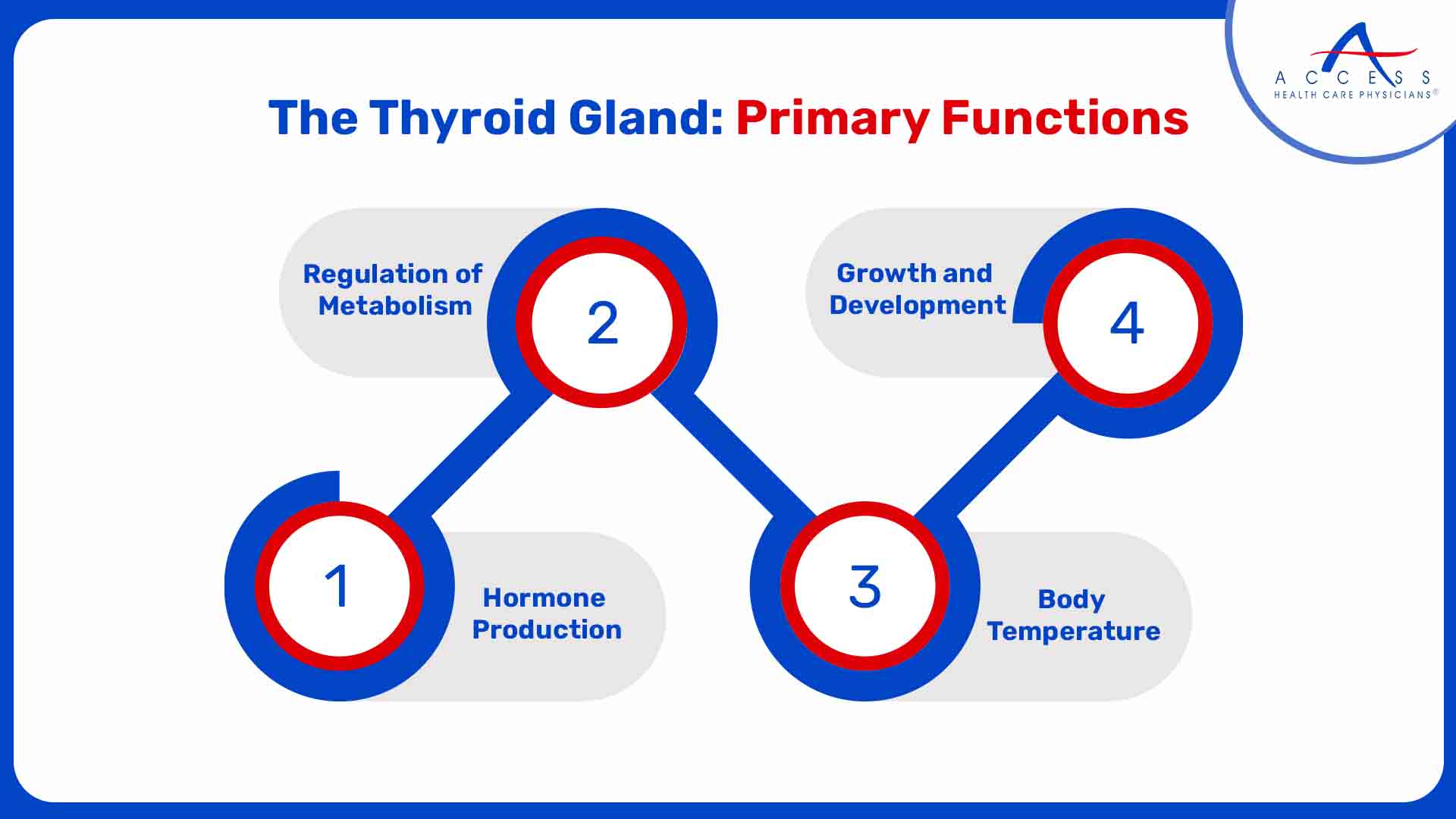 The Thyroid Gland: Primary Functions